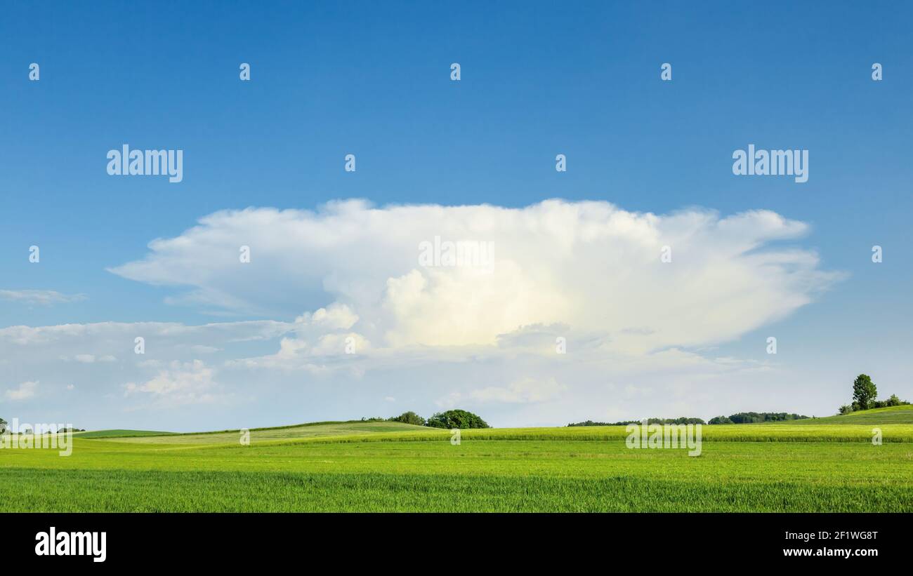 Grande nube di incudine in una calda giornata estiva Foto Stock