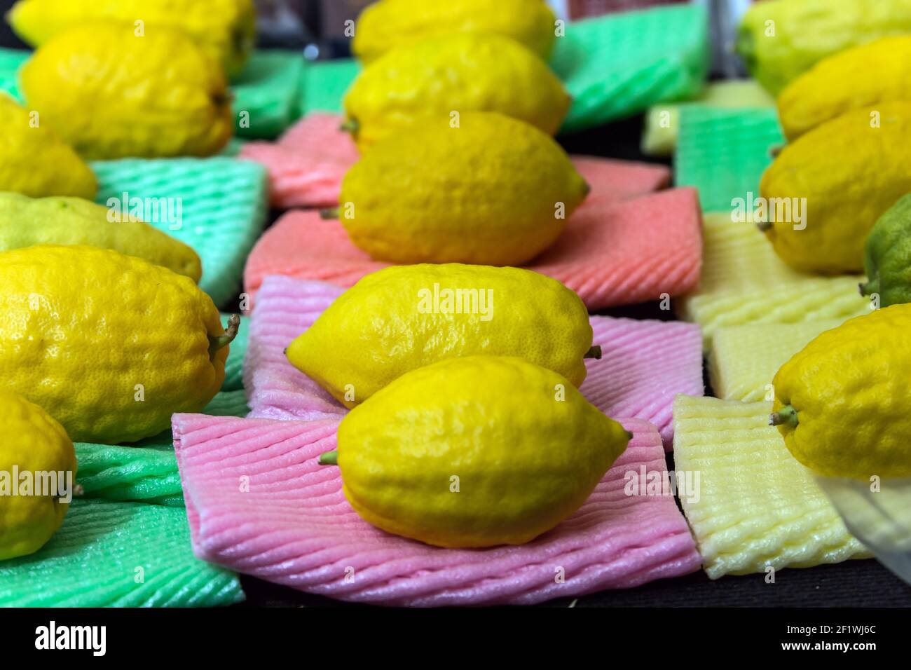 Festa ebraica autunno Sukkot Foto Stock