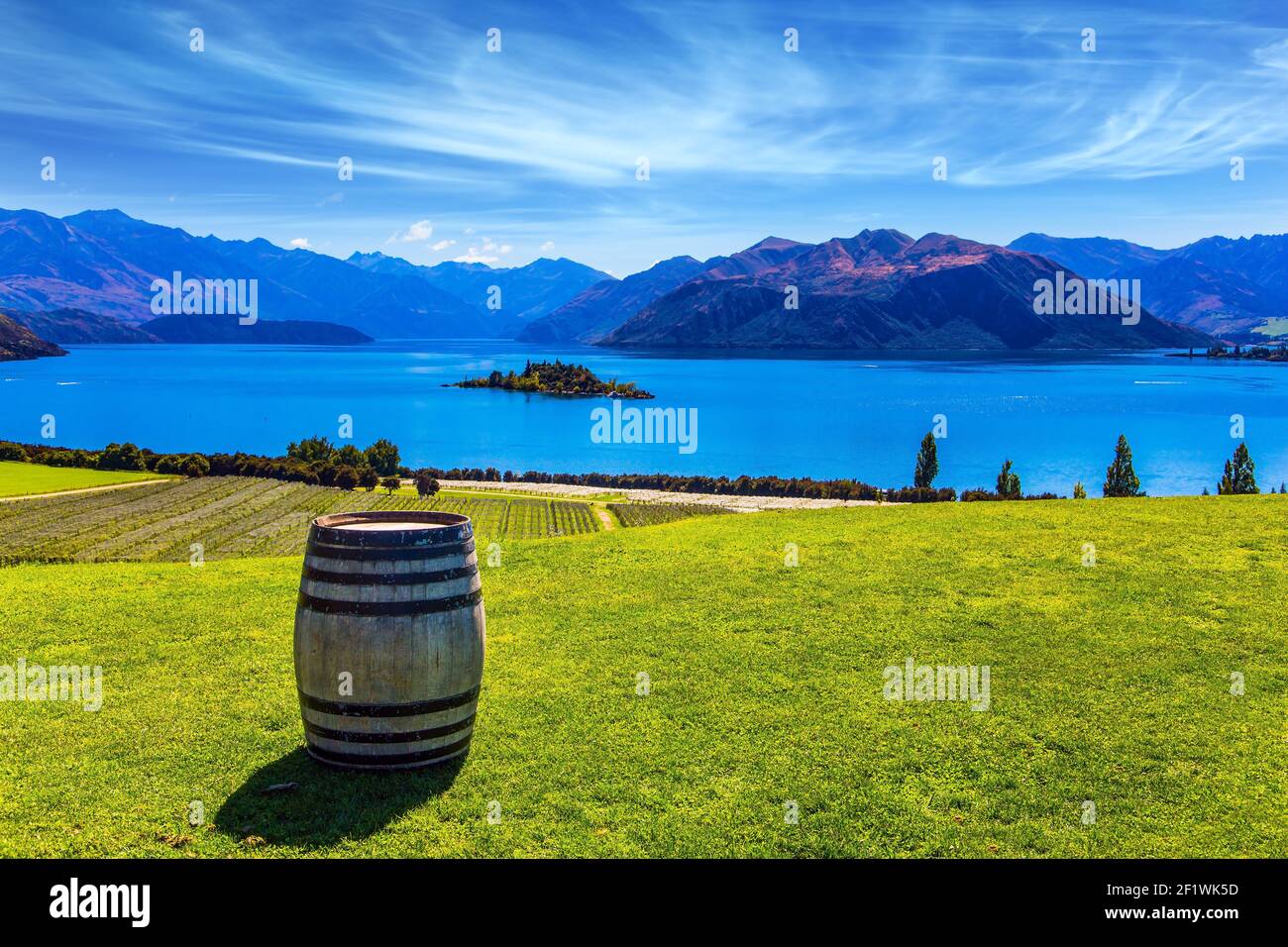 Grande botte di vino si trova sul prato Foto Stock