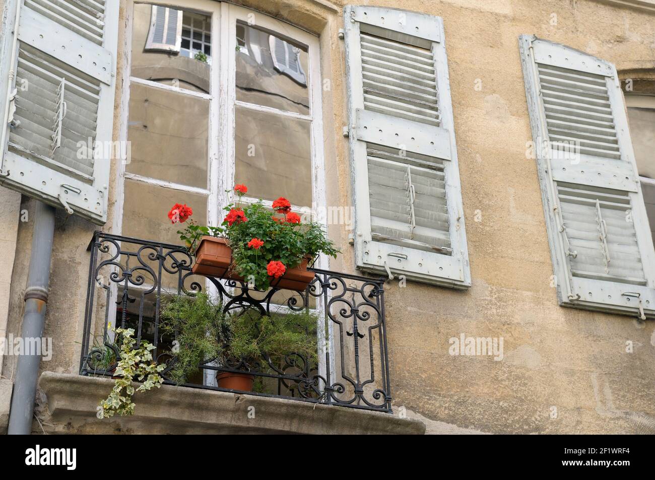 Fiori e finestre, Place des Trois Ormeaux, Aix-en-Provence, Francia Foto Stock