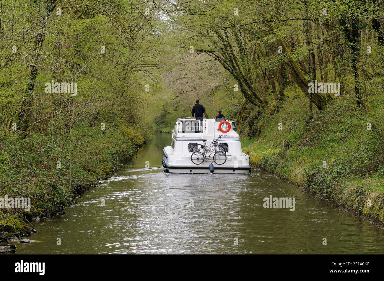 Canal boat sotto un baldacchino di alberi, Nivernais Canal, la Collancelle, Nievre, Borgogna, Francia Foto Stock