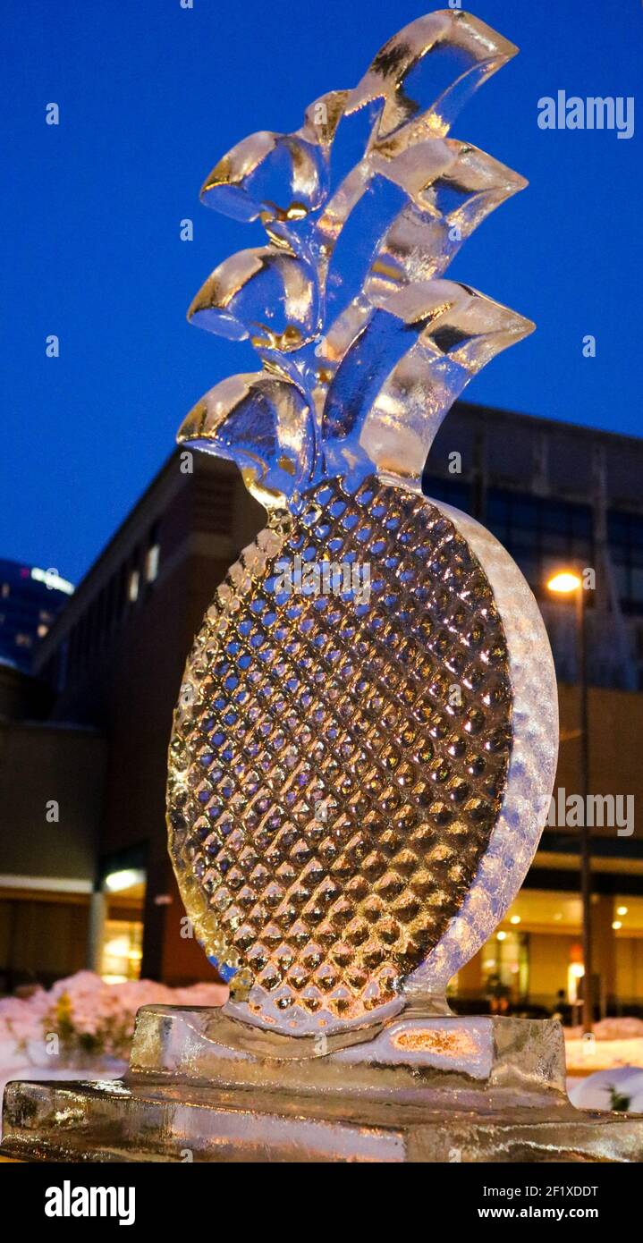 Scultura su ghiaccio di ananas; centro di Grand Rapids, MI Foto Stock