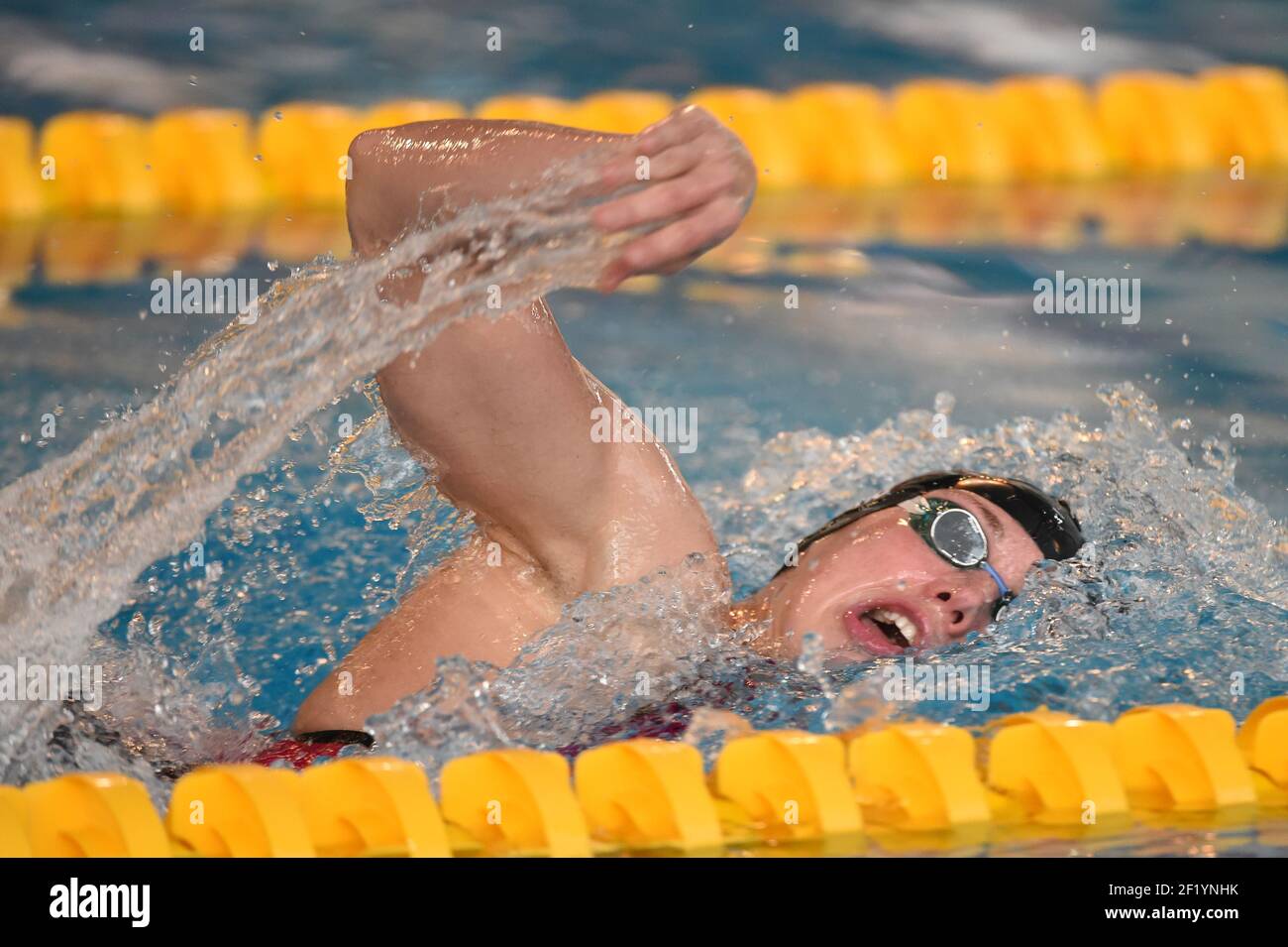 Katinka Hosszu (HUN) vince il 1500 m Freestyle durante il Meeting Amiens 2015, FFN Golden Tour, in Francia, dal 13 al 15 febbraio 2015. Foto Stephane Kempinaire / KMSP / DPPI Foto Stock