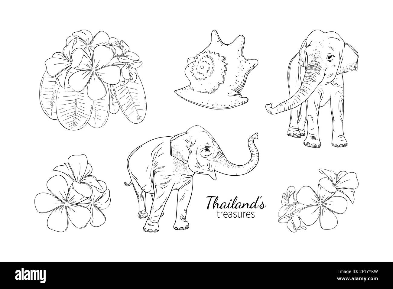 Thailandia estate e tesori di mare come elefanti, conchiglia, e frangipani. Set di simboli asiatici thailandesi. Immagine vettoriale incisa isolata su bianco Illustrazione Vettoriale