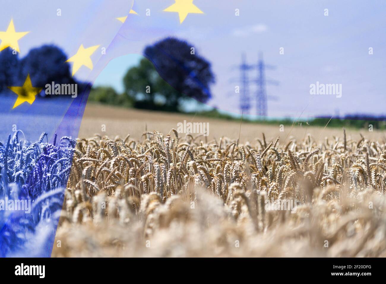 Bandiera dell'Unione europea e dell'agricoltura in Europa Foto Stock