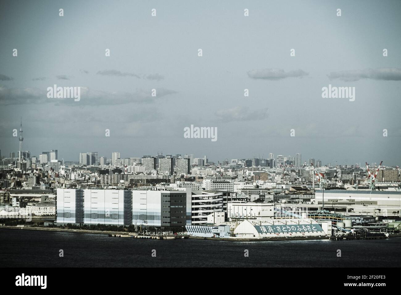 Skyline di Yokohama visibile dalla torre marina (monocromatico) Foto Stock