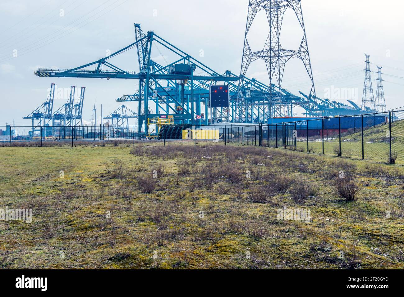 Doel, Antwerpo, Belgio. Terminal dei container all'interno del porto di Anversa, confinante con il villaggio fantasma Doel. Le terre desolate ora non in uso saranno presto occupate da un nuovo terminal, per il quale la città fantasma Doel deve essere demolita. Foto Stock