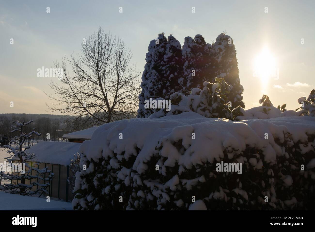 Casa e giardino alberi coperti di neve su un freddo e sole inverni giorno Foto Stock