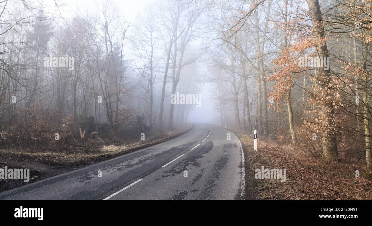 Strada vuota e desolata che attraversa una foresta in una giornata foggosa e alberi con fogliame autunnale, Germania, Europa Foto Stock