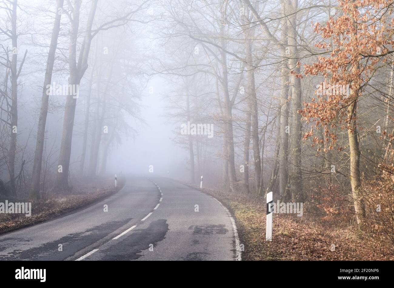 Strada vuota e desolata che attraversa una foresta in una giornata foggosa e alberi con fogliame autunnale, Germania, Europa Foto Stock