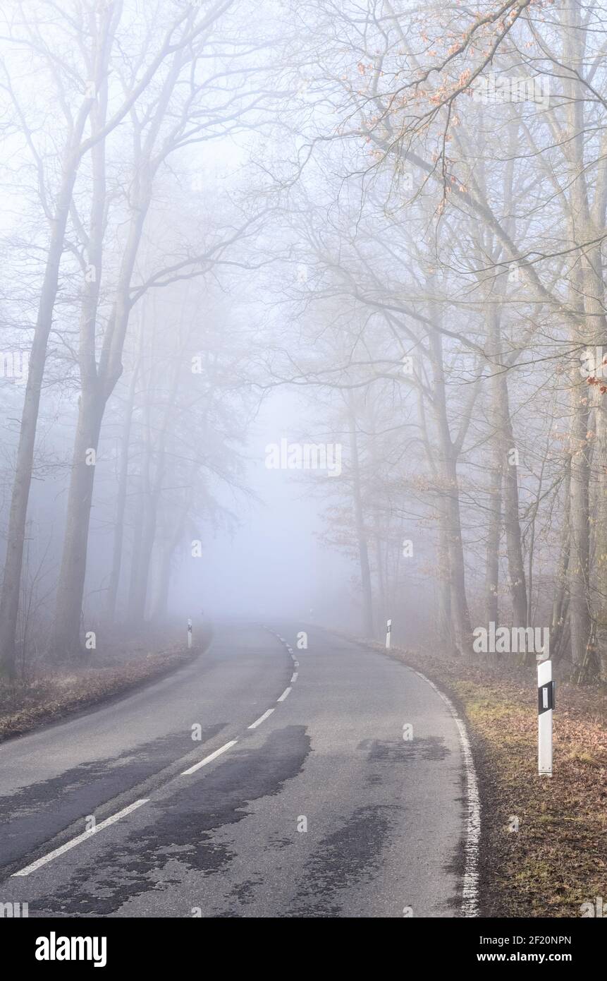 Strada vuota e desolata che attraversa una foresta in una giornata foggosa e alberi con fogliame autunnale, Germania, Europa Foto Stock