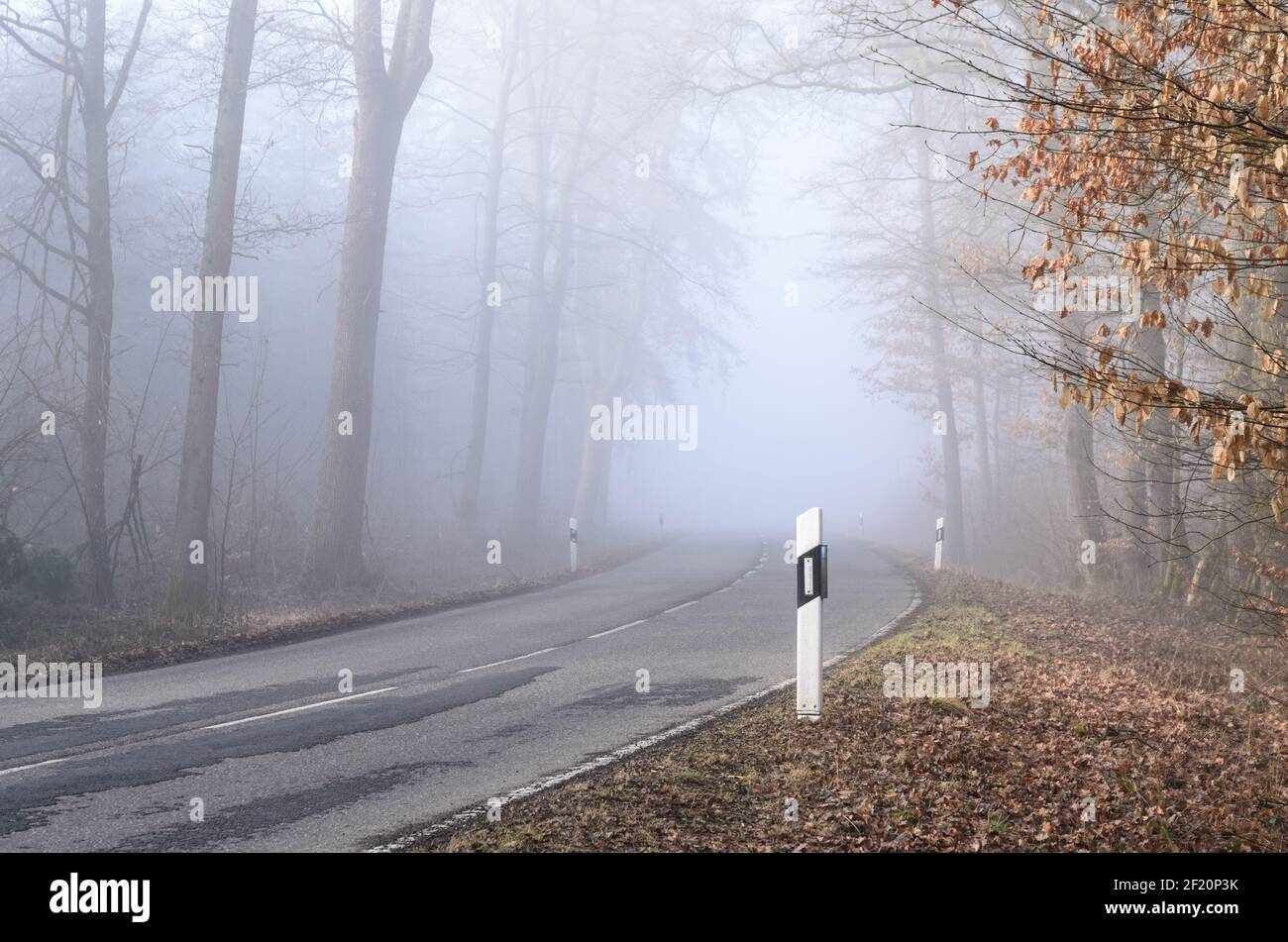 Strada vuota e desolata che attraversa una foresta in una giornata foggosa e alberi con fogliame autunnale, Germania, Europa Foto Stock