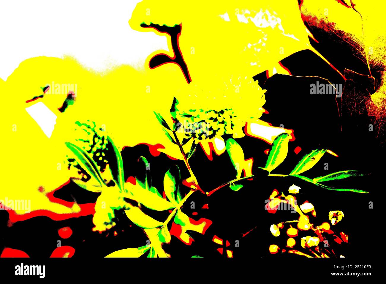 Sfondi testurizzati per banner e pagine web, giochi ecc... Sfondi colorati, con temi floreali ripetitivi. Foto Stock