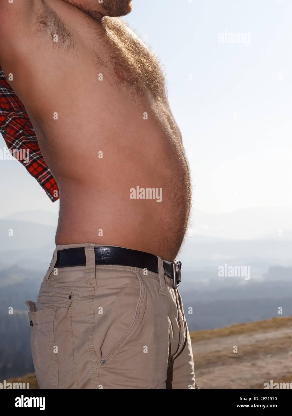 Corpo maschile molto peloso Foto Stock