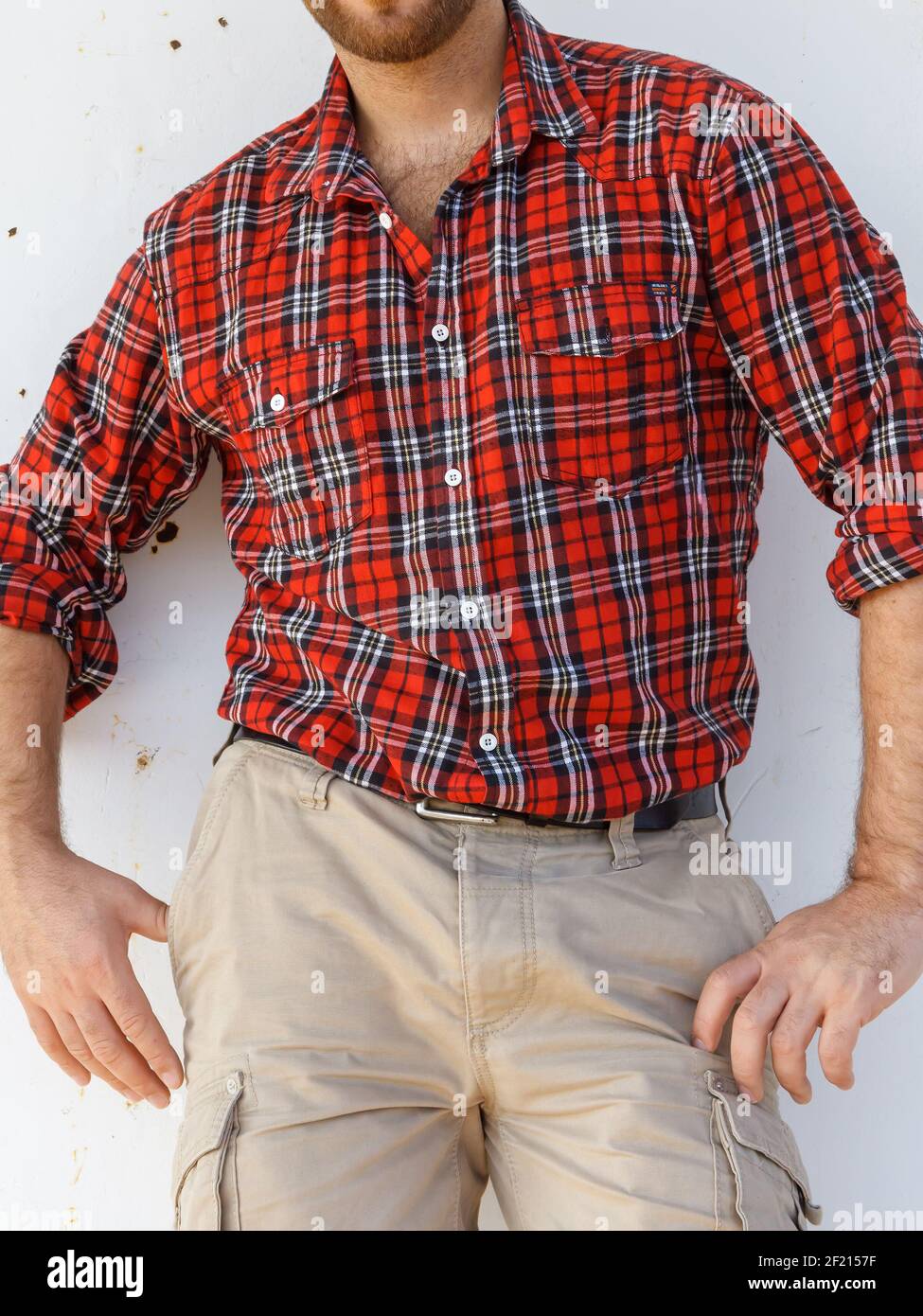 Corpo maschile molto peloso Foto Stock