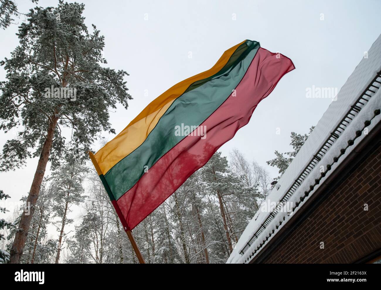 Bandiera lituana contro gli alberi innevati. Festività pubbliche. Foto Stock