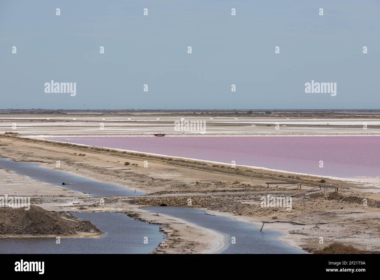 Delta Del Rodano Immagini E Fotos Stock Alamy