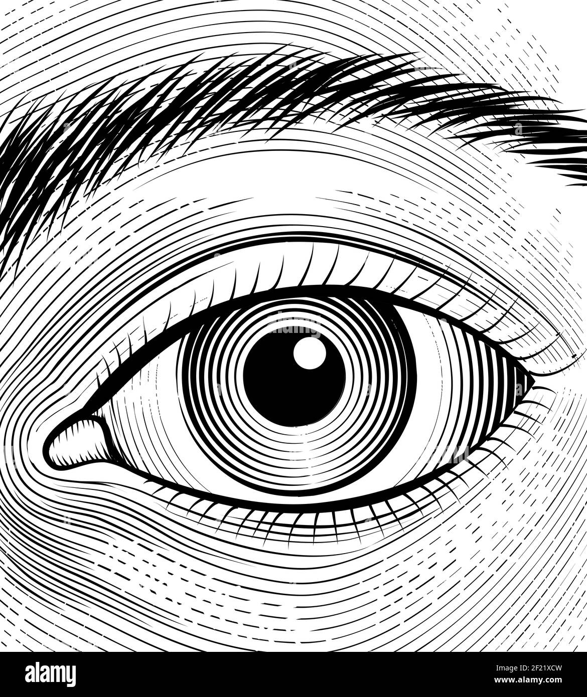Incisione dell'occhio umano. Gli occhi dello schizzo si rifocerano su uno sfondo bianco. Illustrazione vettoriale Illustrazione Vettoriale