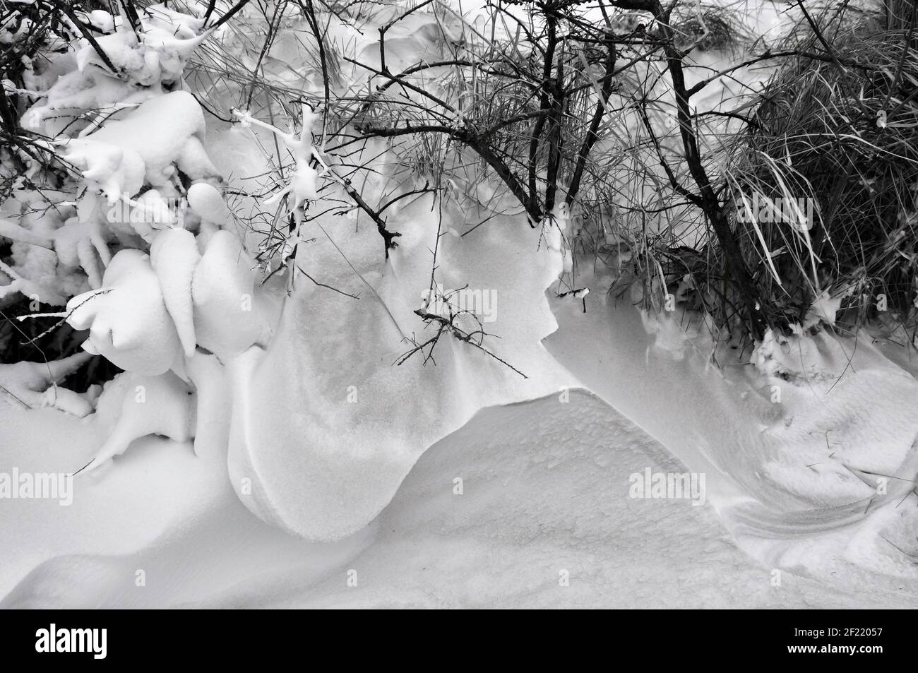 Dune paesaggio con erbe nella neve in nero drammatico e colori bianchi Foto Stock