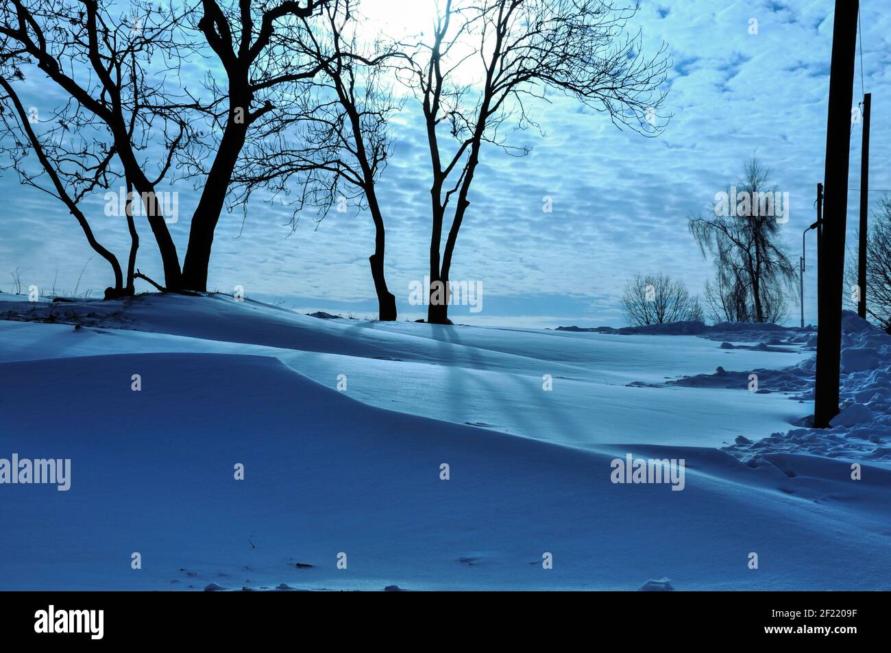 Campo da wintry con neve in deriva ambiente tranquillo e romantico Foto Stock