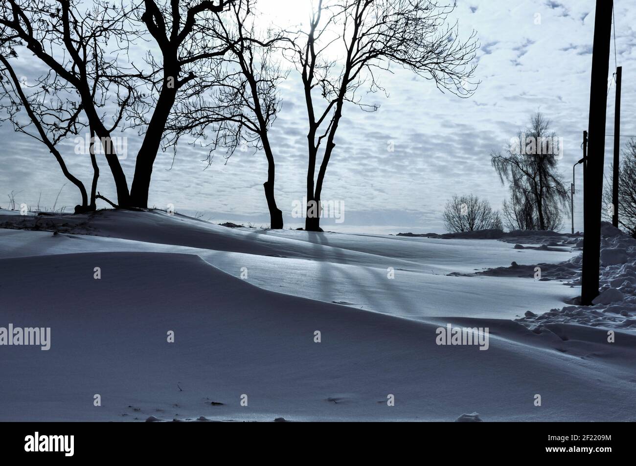 Campo da wintry con neve in deriva ambiente tranquillo e romantico Foto Stock