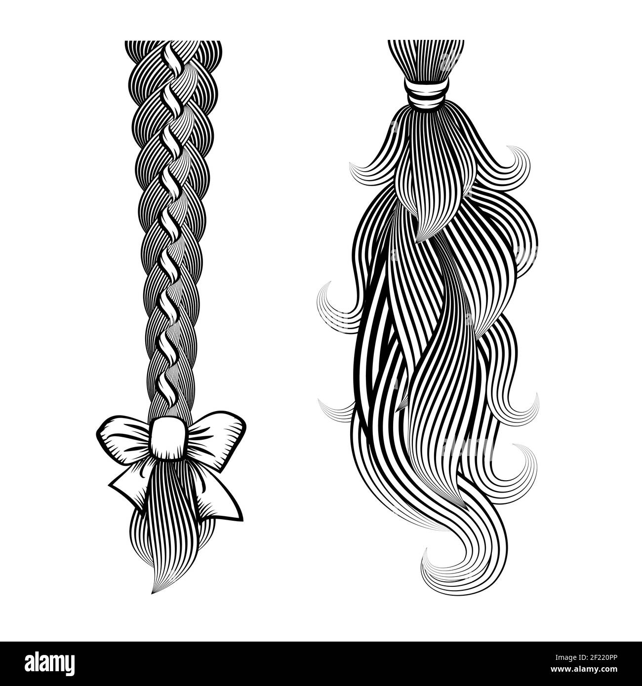 Immagine vettoriale in bianco e nero di capelli sciolti legati una treccia e una coda di pony con un nastro e una banda Illustrazione Vettoriale