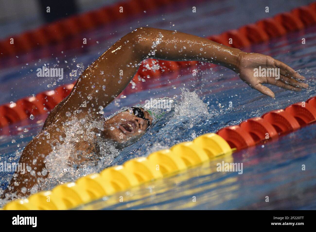 Joris Bouchaut (fra) compete sul Freestyle maschile di 1500 m durante il corso corto del Campionato Francese di nuoto, ad Angers, Francia, il 17-20 novembre 2016 - Foto Stephane Kempinaire / KMSP / DPPI Foto Stock