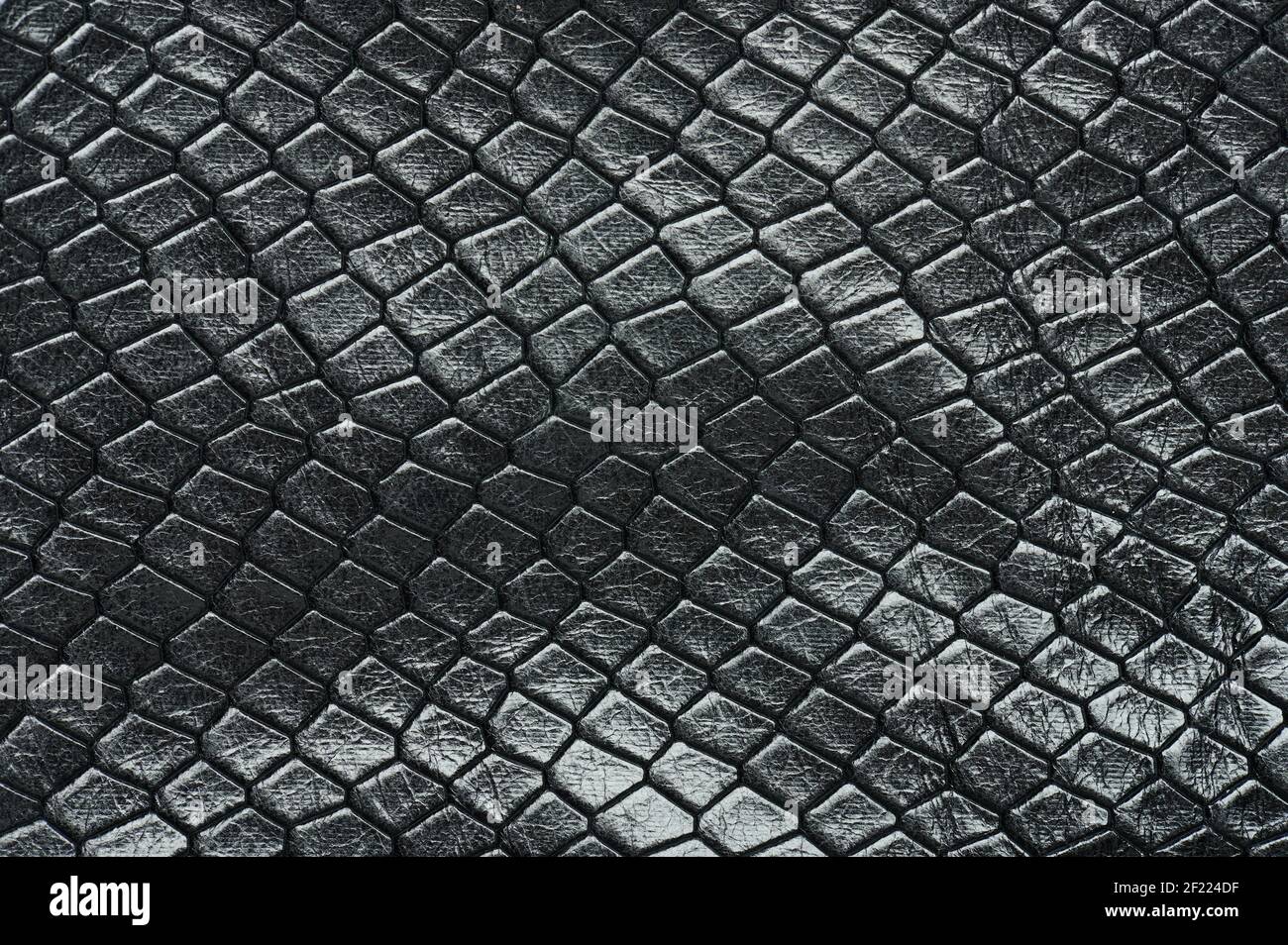 Vista ravvicinata della macro di sfondo del motivo della pelle di serpente scuro Foto Stock