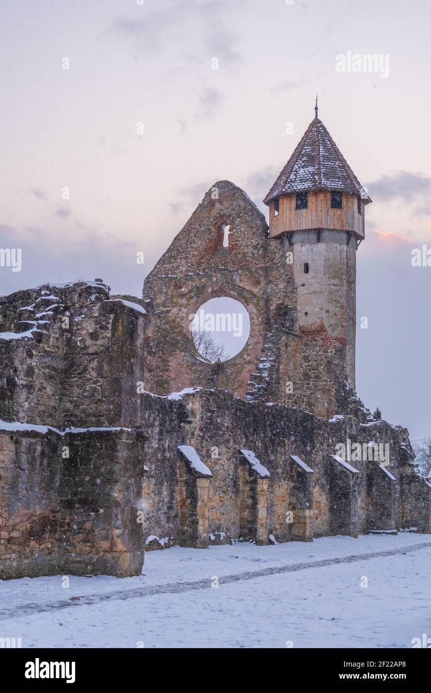 Le rovine del monastero di Cârța. Costruito nel 1206, è uno dei due monasteri cistercensi costruiti in Romania Foto Stock