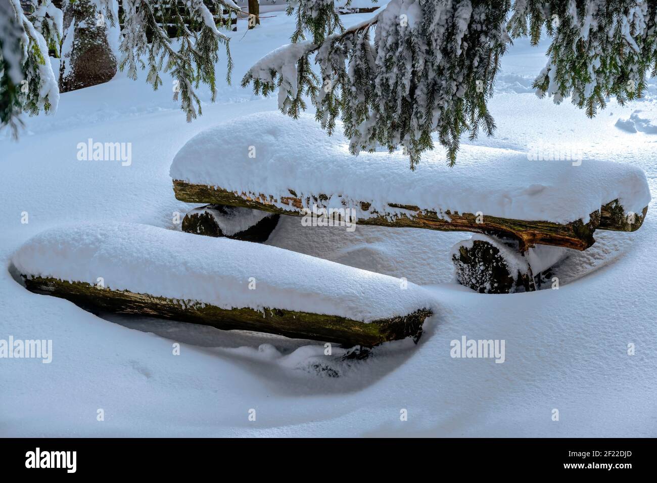 Panchine di legno nella montagna coperta di neve Vitosha montagna in Bulgaria; Foto Stock