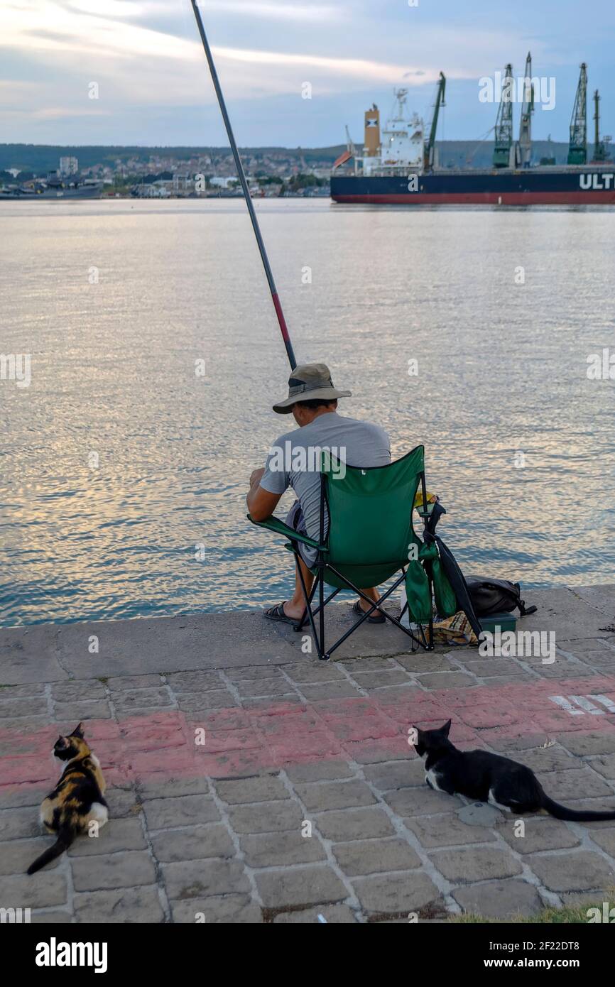 pescatore in compagnia di gatti;Varna Bulgaria; Foto Stock