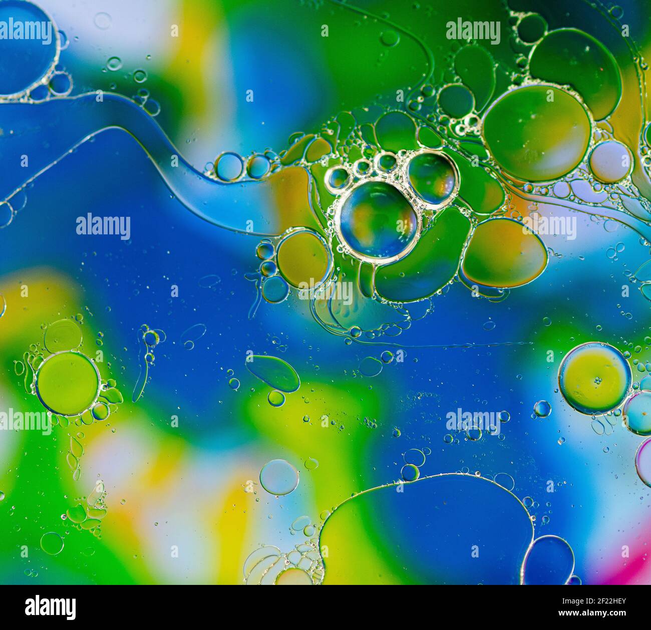 Bolle colorate, bolle astratte sulla superficie, bolle d'aria, bolle d'olio, farbenfrohe Kreise, astrakte Foto Foto Stock