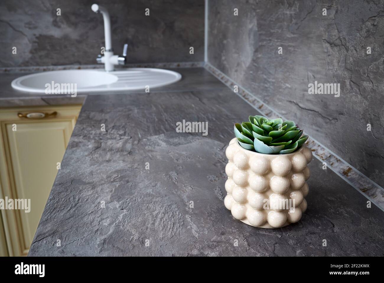 Bella echeveria in vaso sul banco della cucina all'interno. Succulento impianto in vaso vetrato con crepe in cucina scandinava con lavello in Foto Stock
