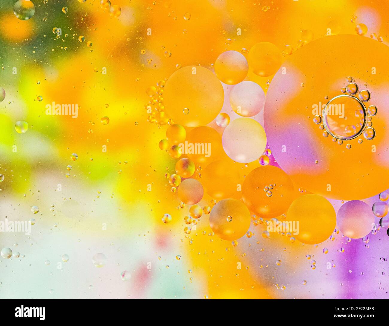 Bolle colorate, bolle astratte sulla superficie, olio sull'acqua, farbfrohe Kreise Foto Stock