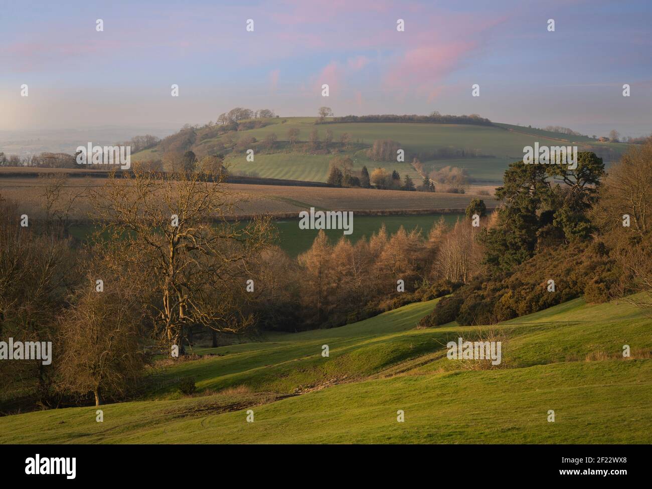 Vista verso Meon Hill da Hidcote Bartrim, Cotswolds, Gloucestershire, Inghilterra. Foto Stock