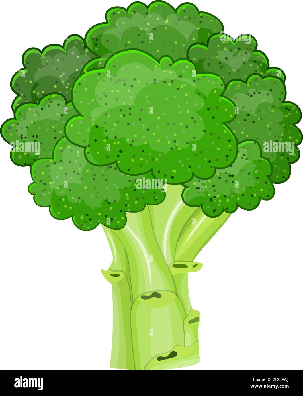 Broccoli vegetali freschi icona isolata Illustrazione Vettoriale