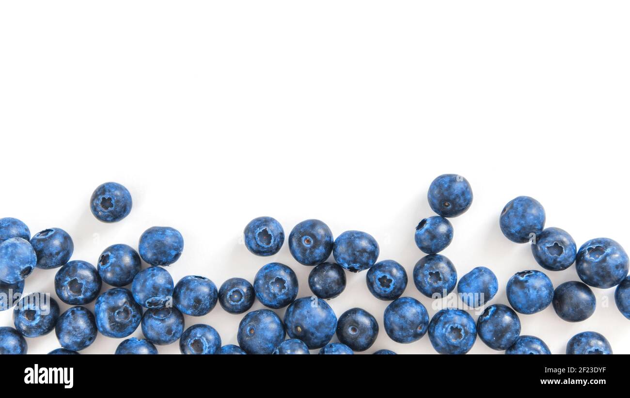 Blueberry isolato, bianco, spazio di copia Foto Stock