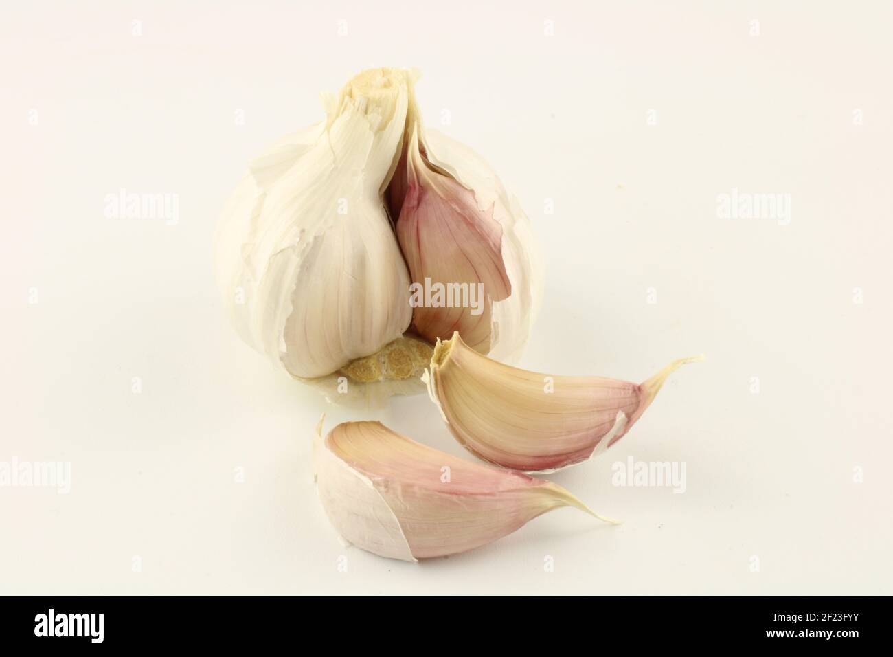 Testa d'aglio e spicchi d'aglio, Allium sativum isolato su bianco con spazio copia Foto Stock