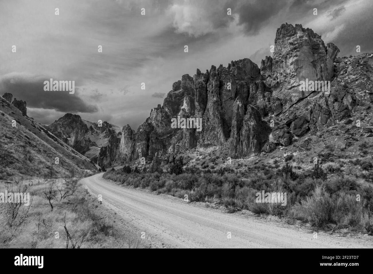 Nuvole scure rotolano sopra il remoto e surreale Leslie Gulch dell'Oregon sudorientale. Foto Stock