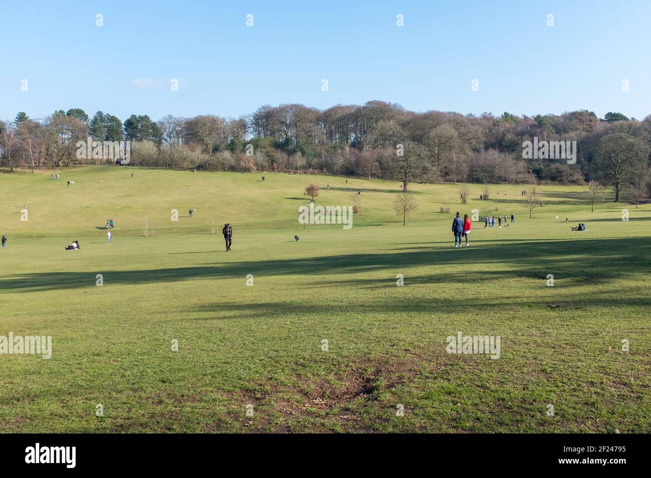 Famiglie che apprezzano Warley Woods a Sandwell, vicino a Birmingham pomeriggio invernale soleggiato Foto Stock