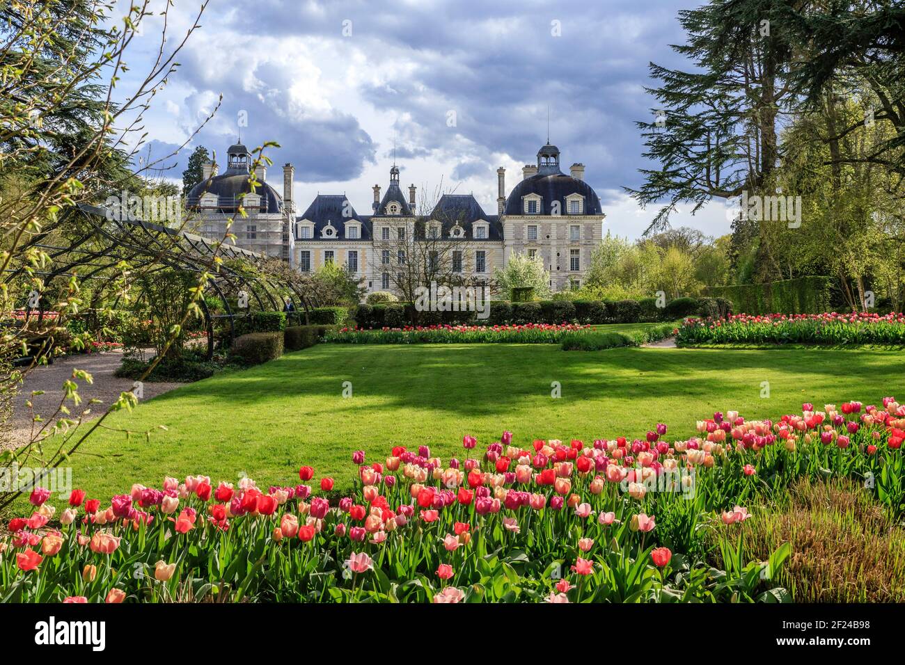 Francia, Loir et Cher, Cheverny, Chateau de Cheverny, giardino dell'apprendista, tulipani e castello in primavera (édition beaux livres indacspugnible) // Fran Foto Stock