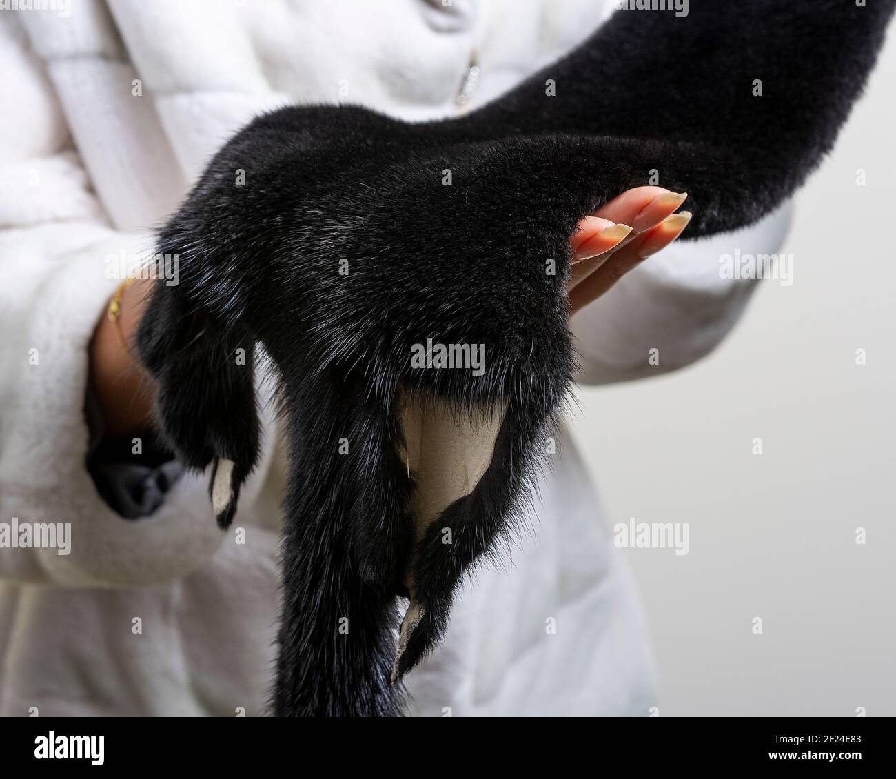 Pelle di pelliccia marrone mink costosa nelle mani di una donna. Foto Stock