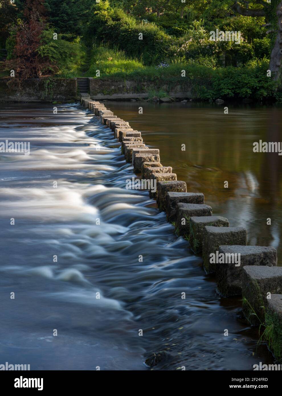 Luce del sole che cattura l'acqua che scorre attorno a pietre passo sul fiume Wharfe a Ilkley, West Yorkshire Foto Stock