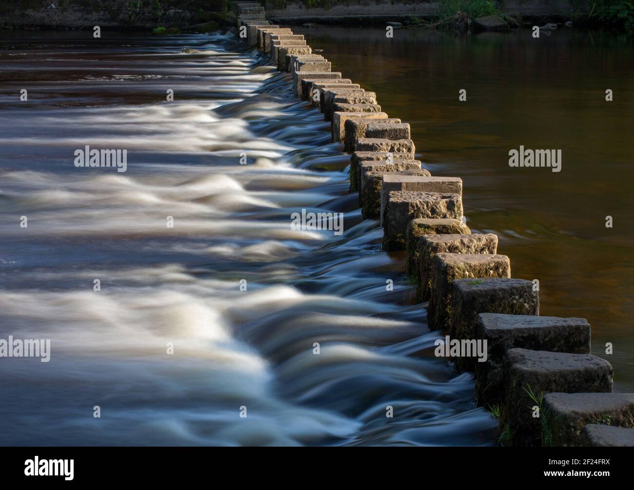 Luce del sole che cattura l'acqua che scorre attorno a pietre passo sul fiume Wharfe a Ilkley, West Yorkshire Foto Stock