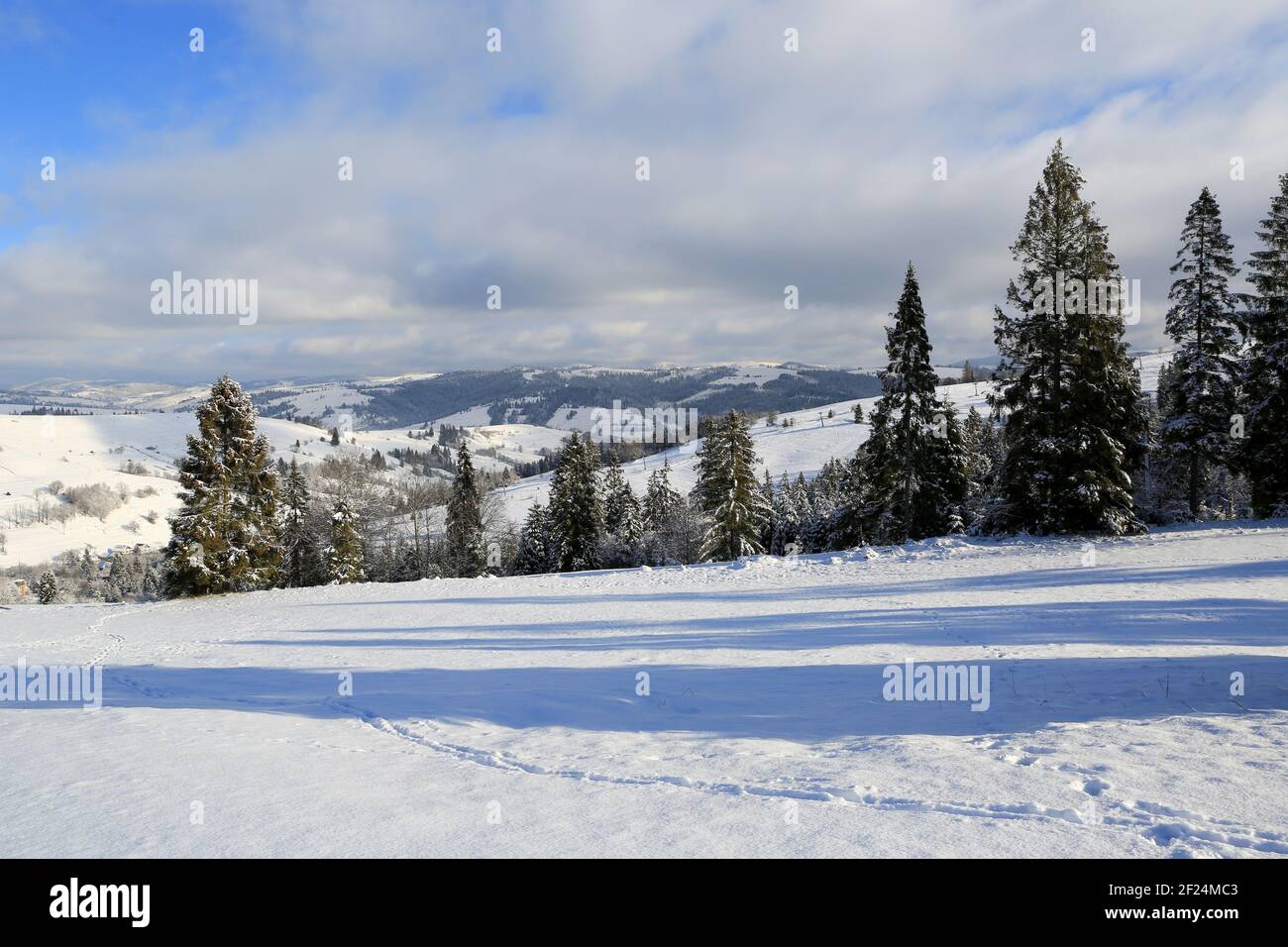 Bel paesaggio invernale in Carpazi, Ucraina Foto Stock