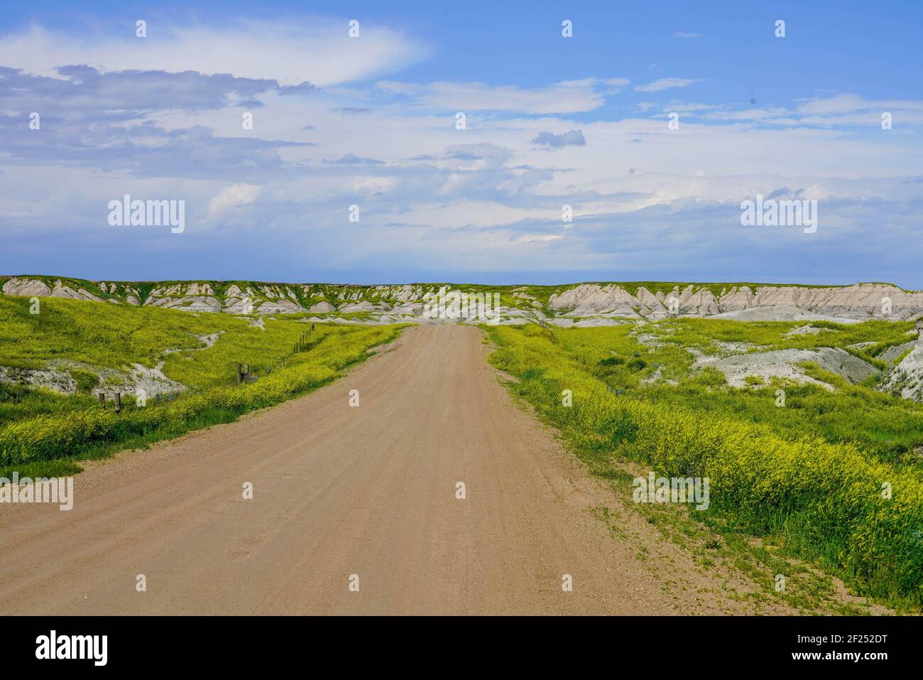 Country Dirt Road al Badlands National Park Foto Stock