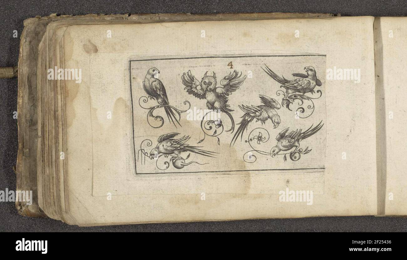 Sei uccelli tra cui un gufo; Birds.Six Birds incluso un gufo. La stampa fa parte di un album di al. Foto Stock