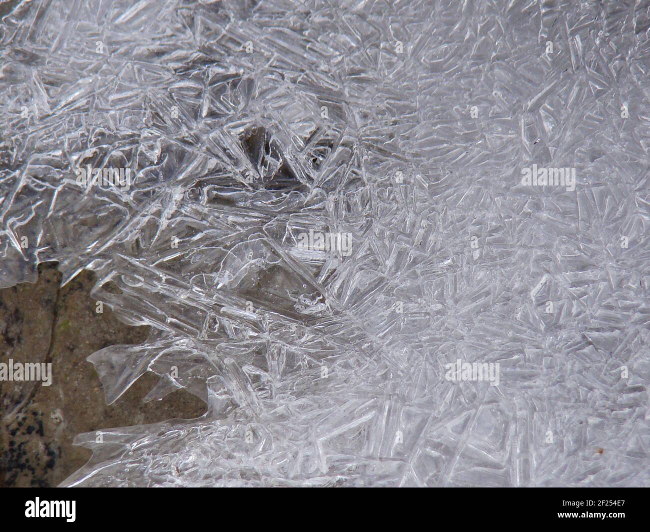 Cristalli di ghiaccio in un ruscello di montagna semi-congelato nell'Himalaya, Nepal Foto Stock