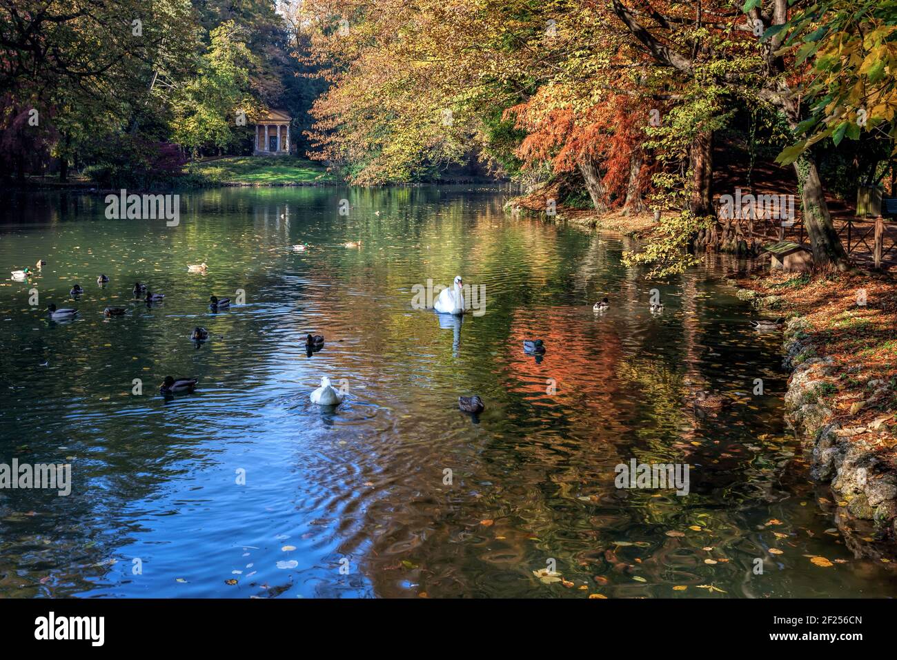Autunno in scena al lago nel Parco di Monza Foto Stock
