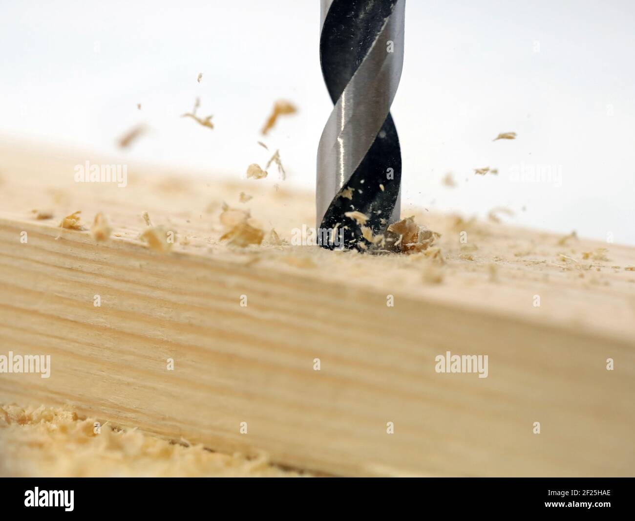 foratura in legno con segatura volante su sfondo bianco Foto Stock